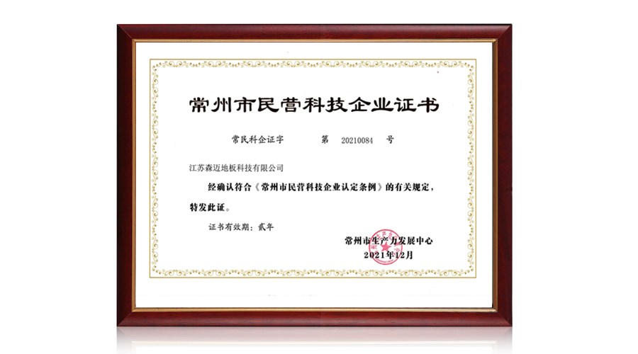 民營(yíng)科技企業(yè)證書